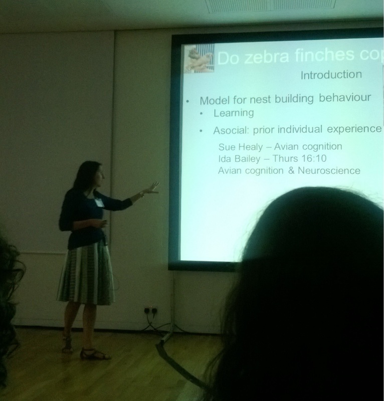 Lauren Guillette presenting her talk