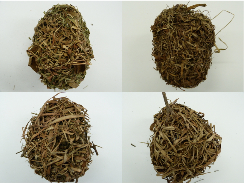 Four nest built by two Southern Masked weaverbirds illustrating differences in nest texture between males. The two nests in the top row are built by male (A) and those in the bottom row by male (B). 